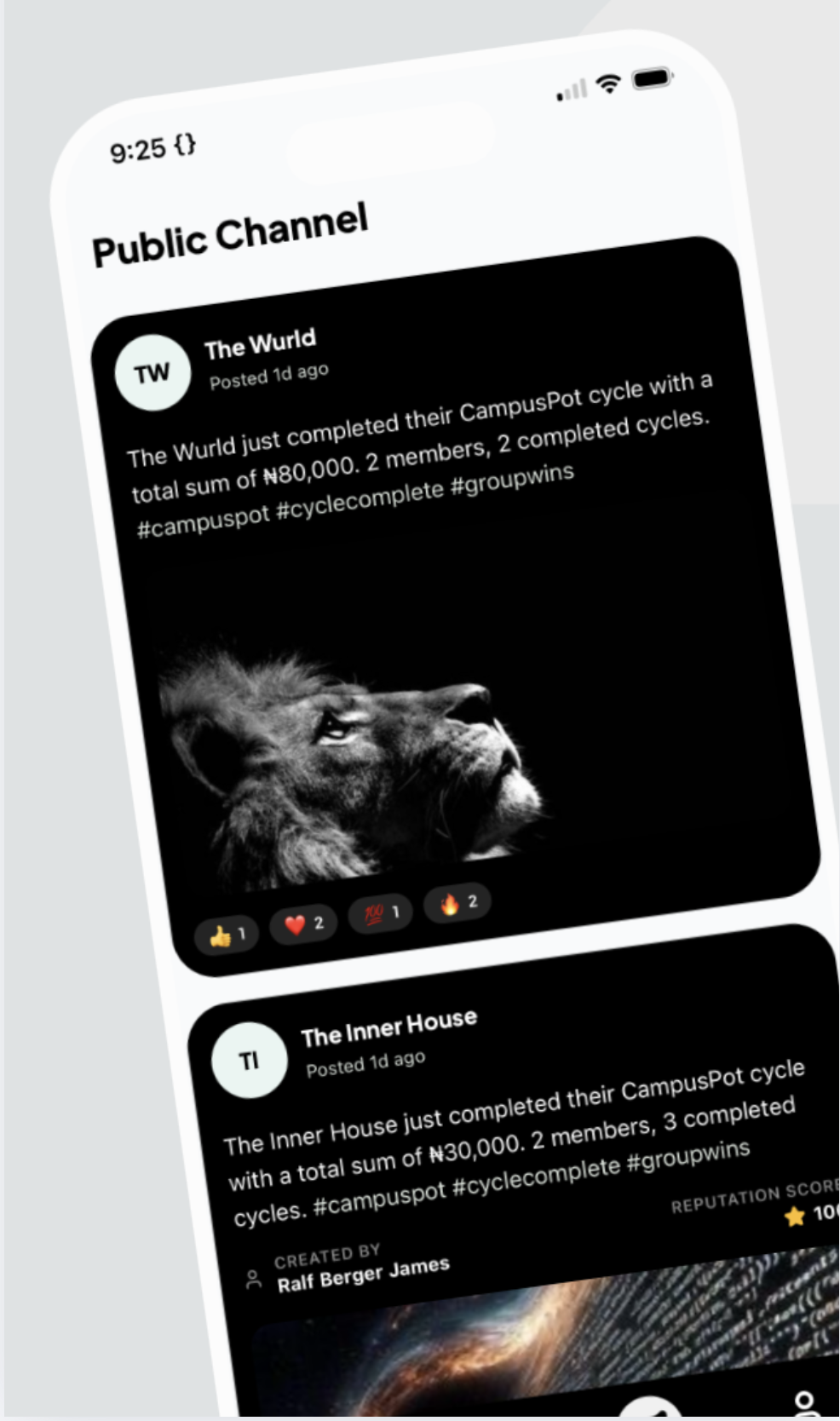 Rounda app contribution tracking screen